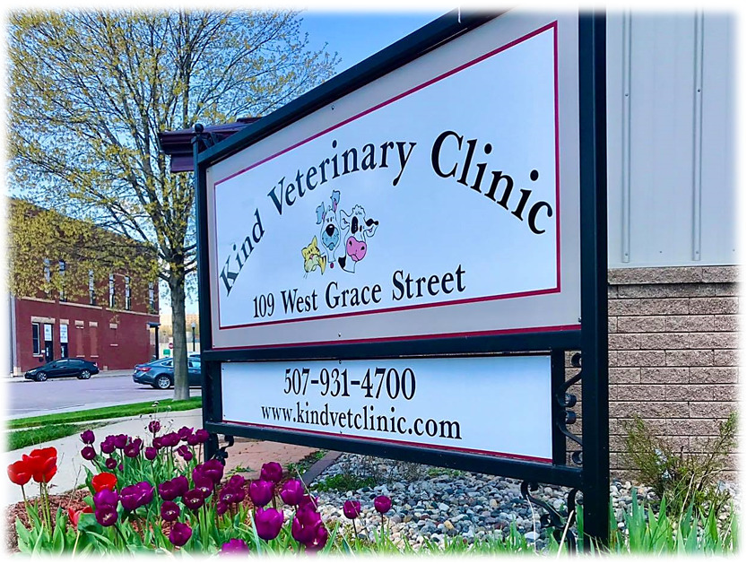 Kind Veterinary Clinic